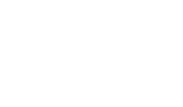 logo-canica